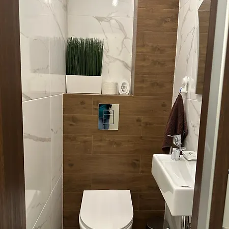 Luxury Oasis In Absolute Center Of Apartment